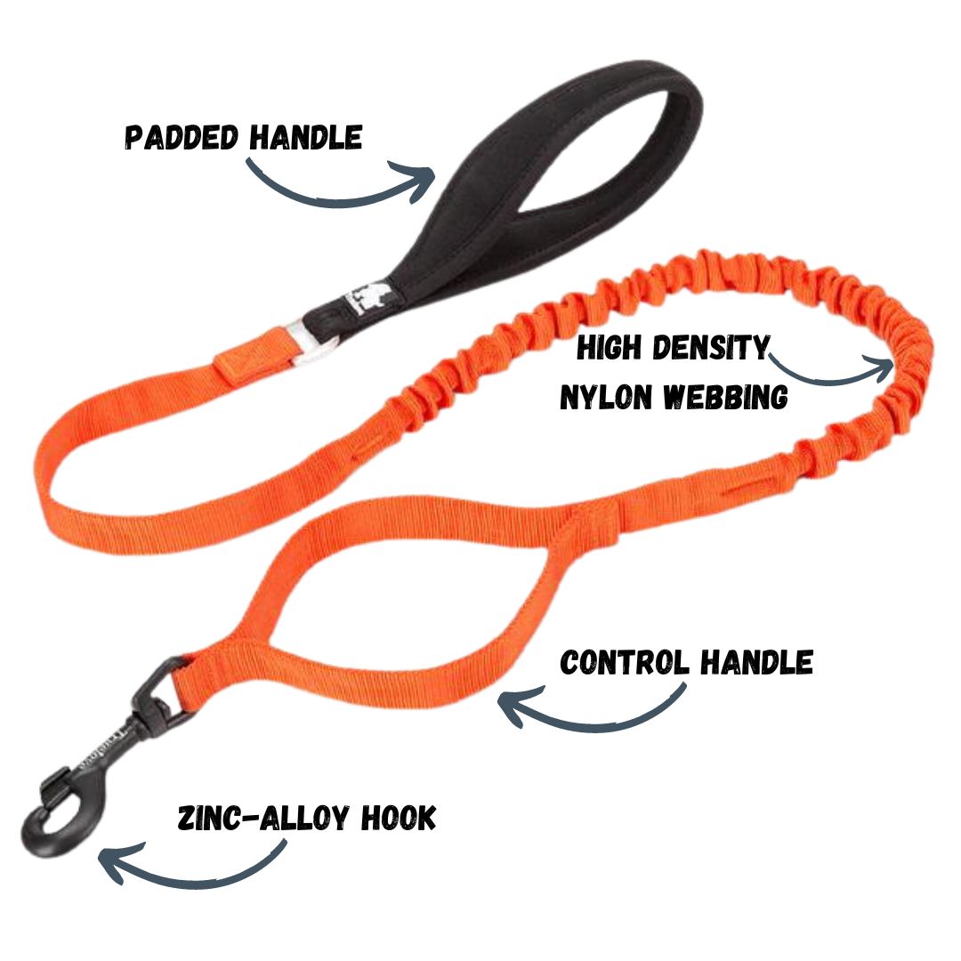 Rainy Days Leash-Sweet Orange