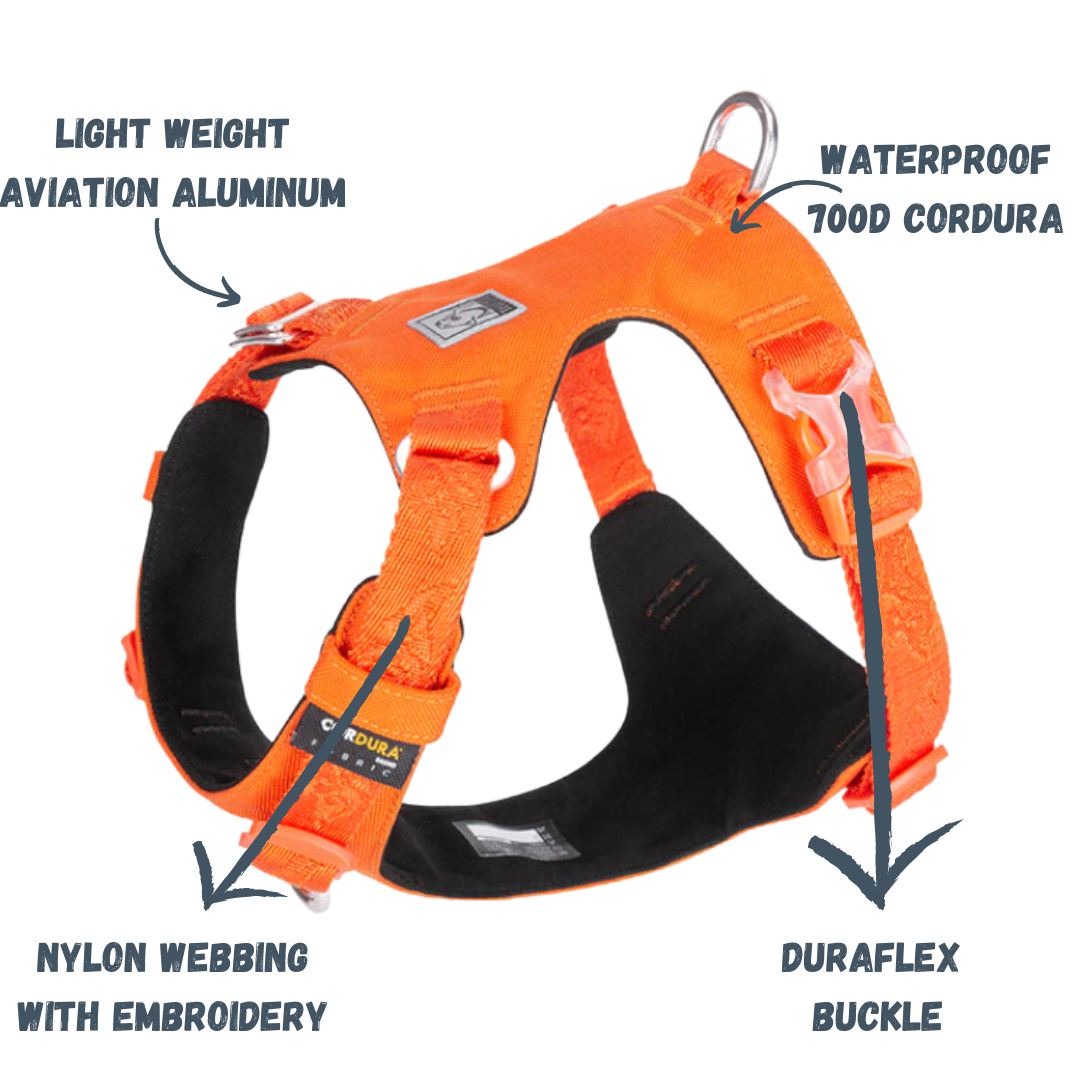 Rainy Days Harness-Bright Orange/White