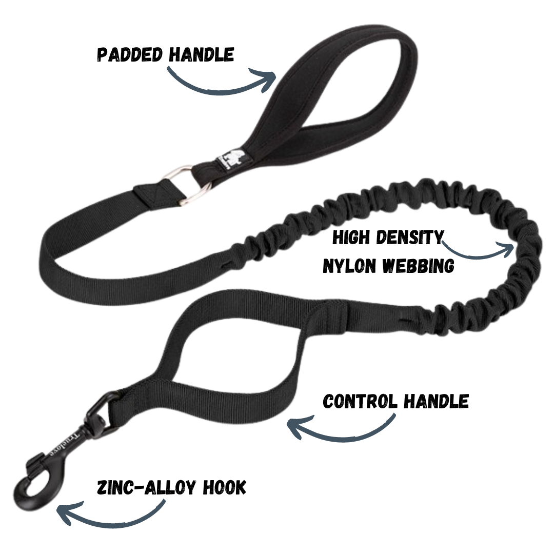 Rainy Days Leash-Black