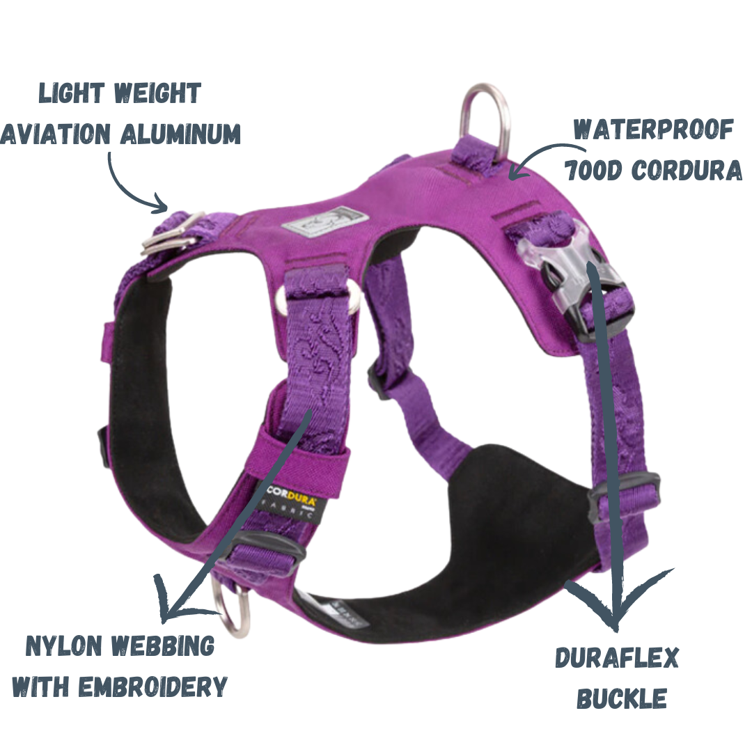 Rainy Days Harness-Violet/Grey