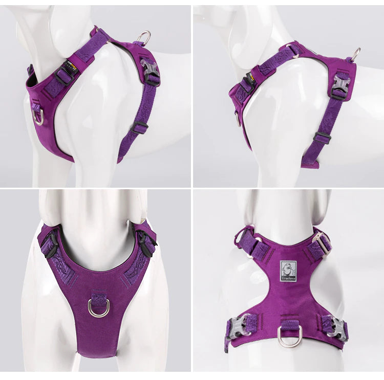 Rainy Days Harness-Violet/Grey