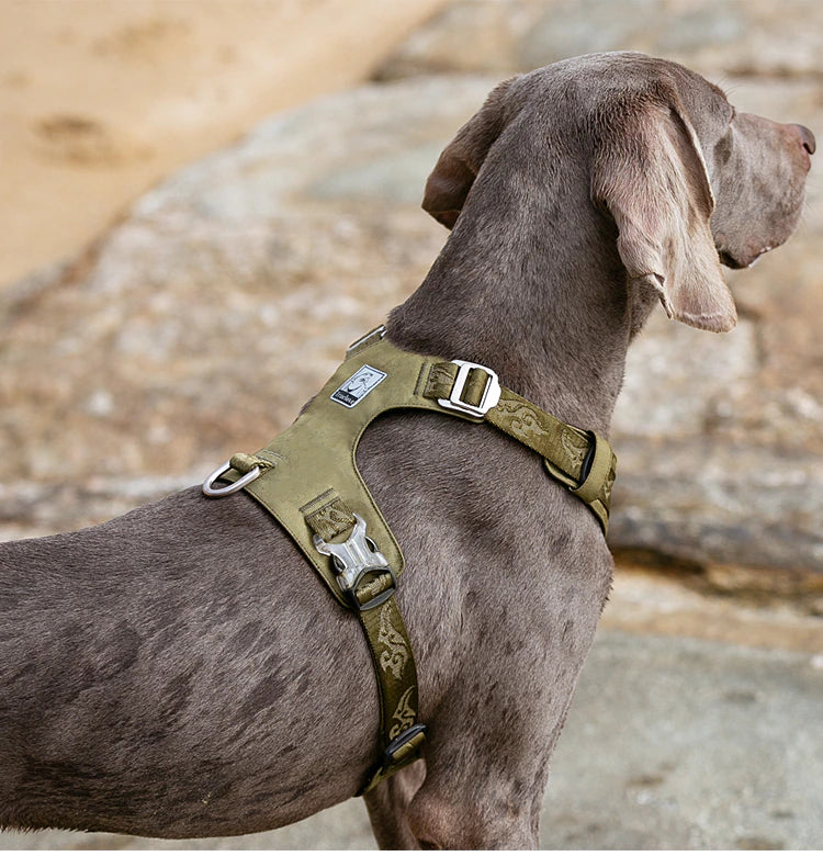 Rainy Days Harness-Olive