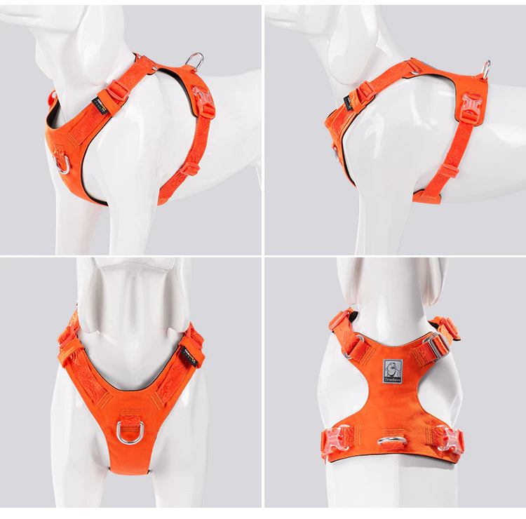 Rainy Days Harness-Bright Orange/White