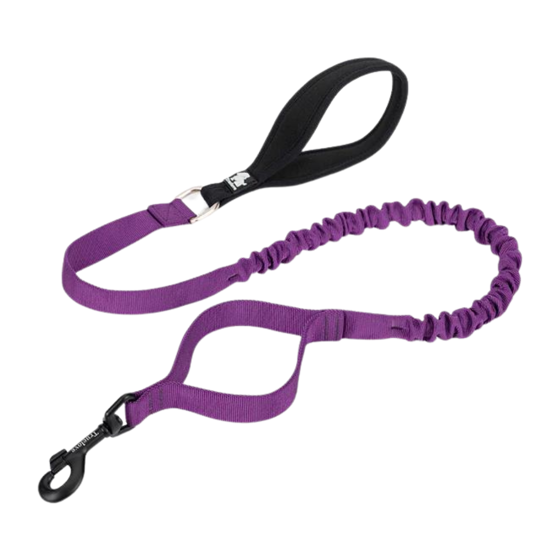 Rainy Days Leash-Violet