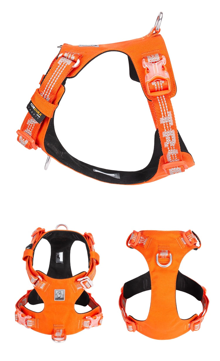 Rainy Days Harness-Bright Orange/White