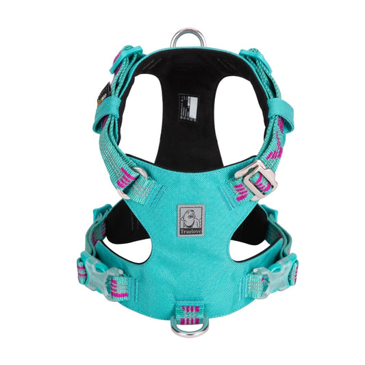 Rainy Days Harness-Baltic/Fuchsia