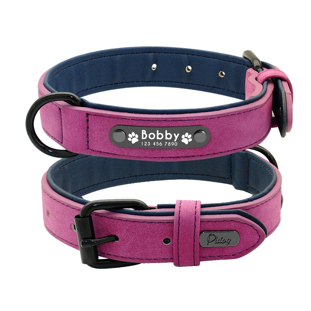 Personalized Leather  Dog Collar and Leash-Fuchsia