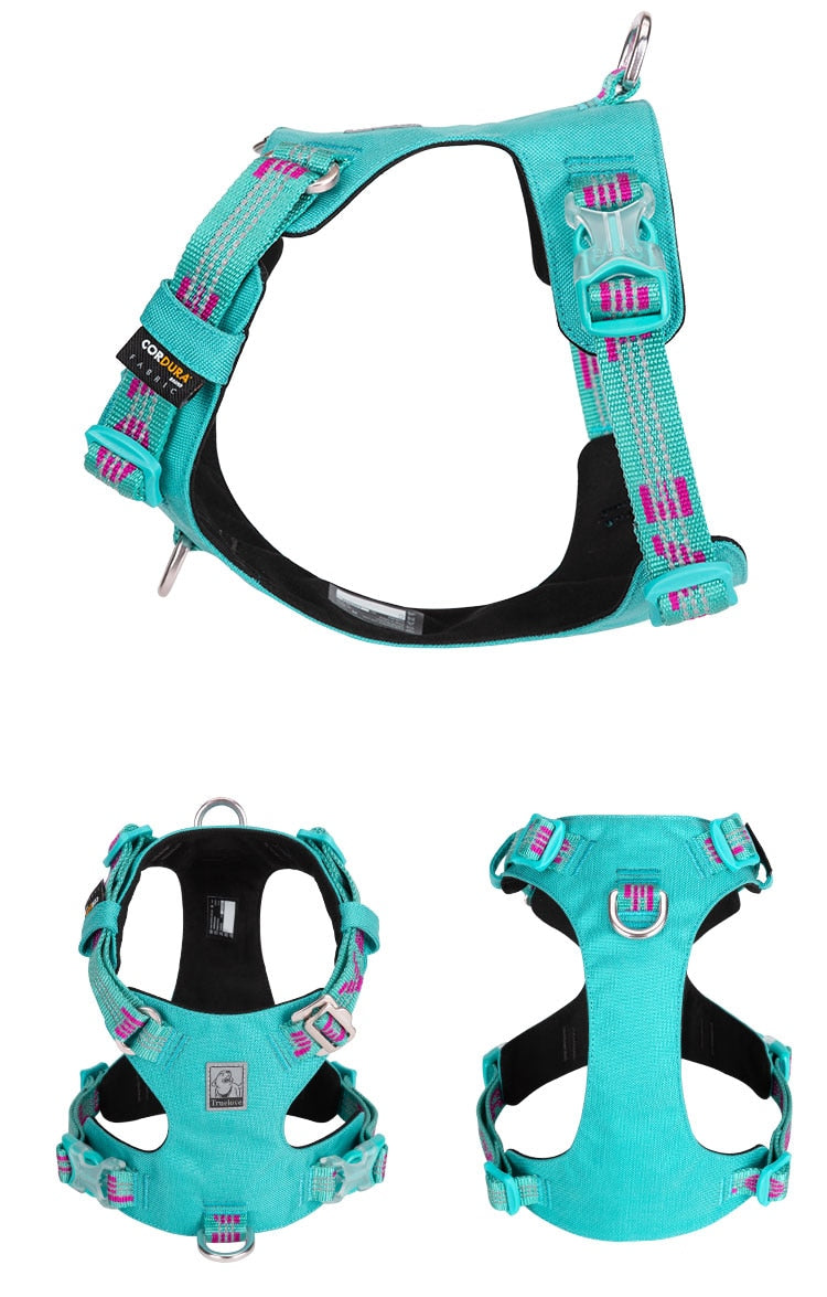 Rainy Days Harness-Baltic/Fuchsia