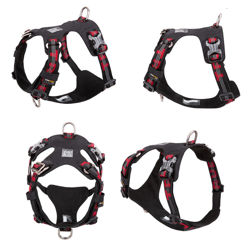 Rainy Days Harness-Black/Red